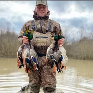 Meet your Posher, Dylan